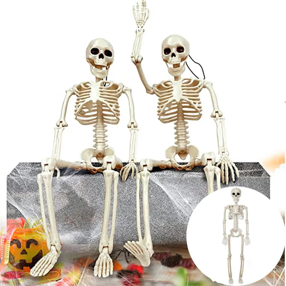 Decorative Skull - Halloween