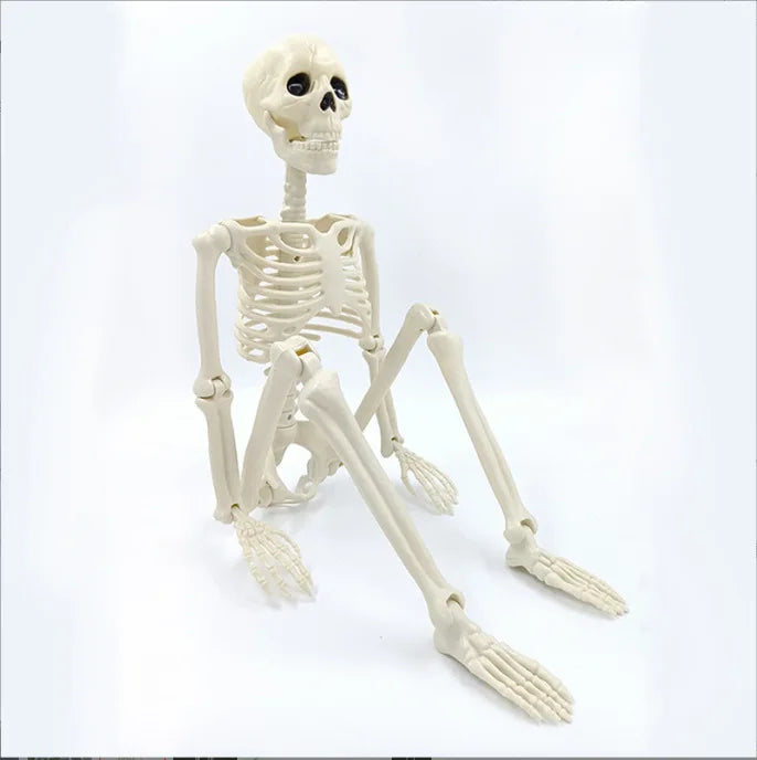 Decorative Skull - Halloween
