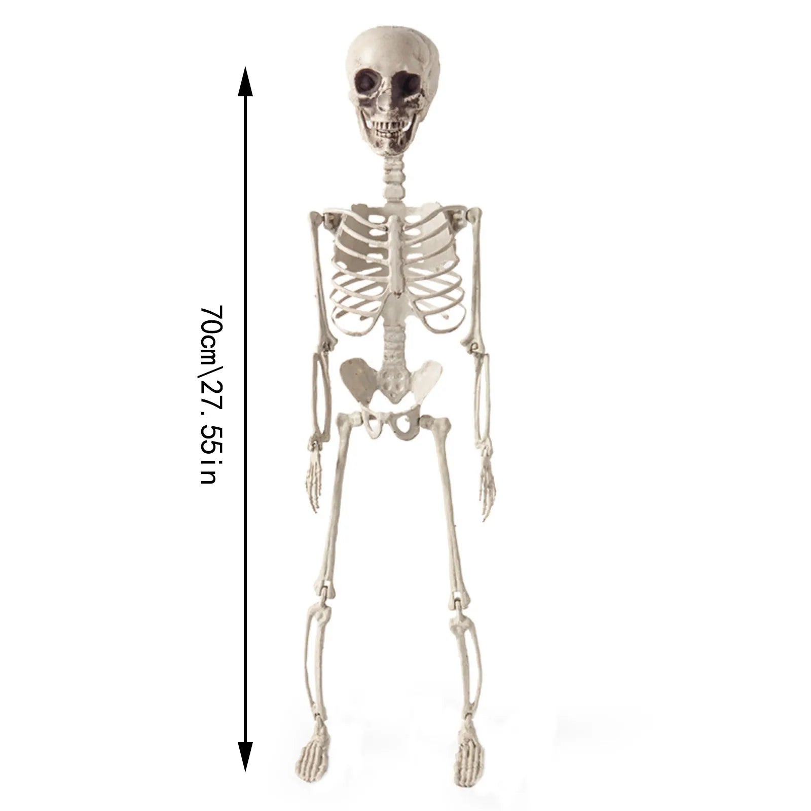 Halloween Skeleton Decoration Realistic