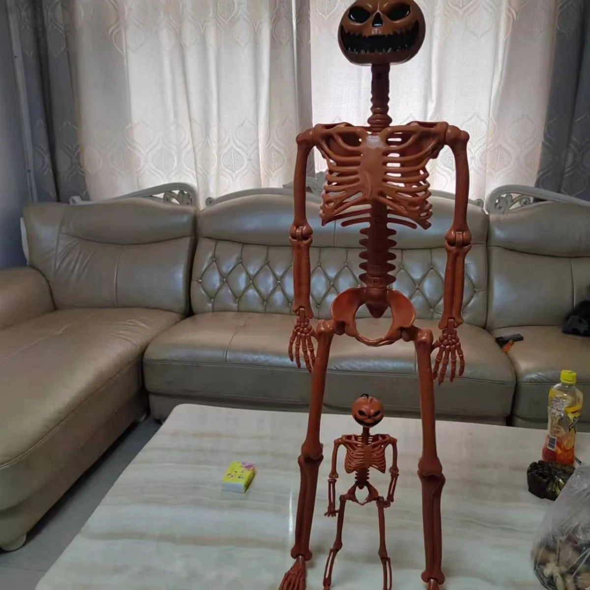 Decorative Skull - Halloween