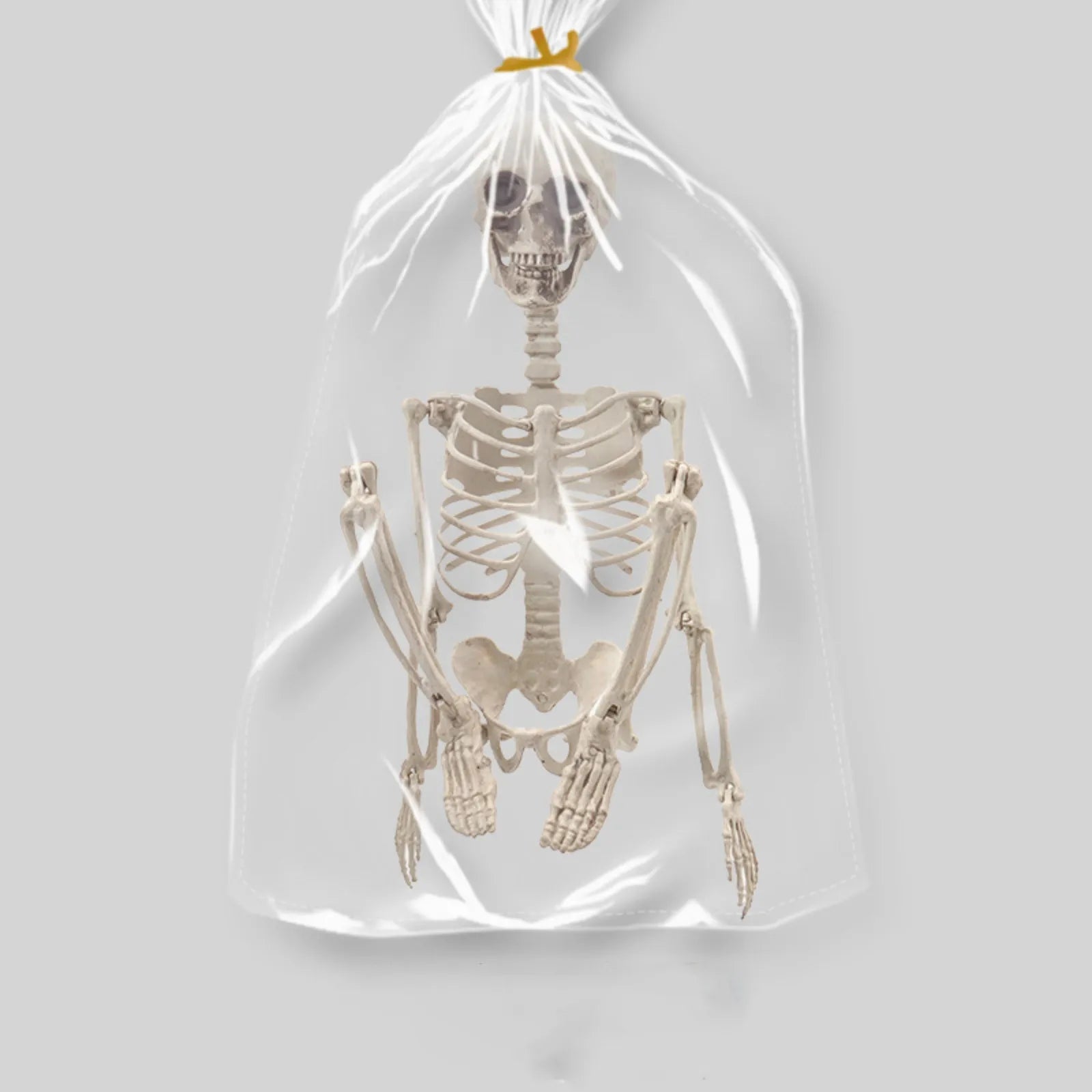 Halloween Skeleton Decoration Realistic