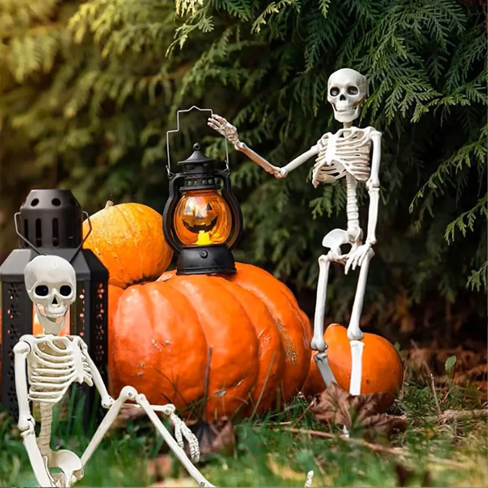 Decorative Skull - Halloween