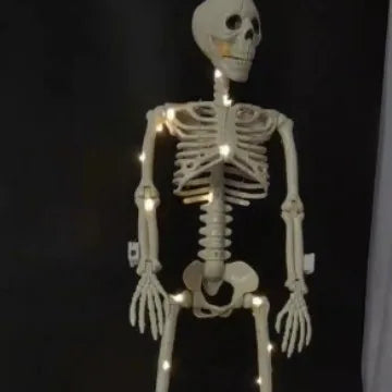 Decorative Skull - Halloween