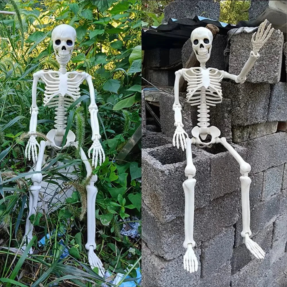 Decorative Skull - Halloween