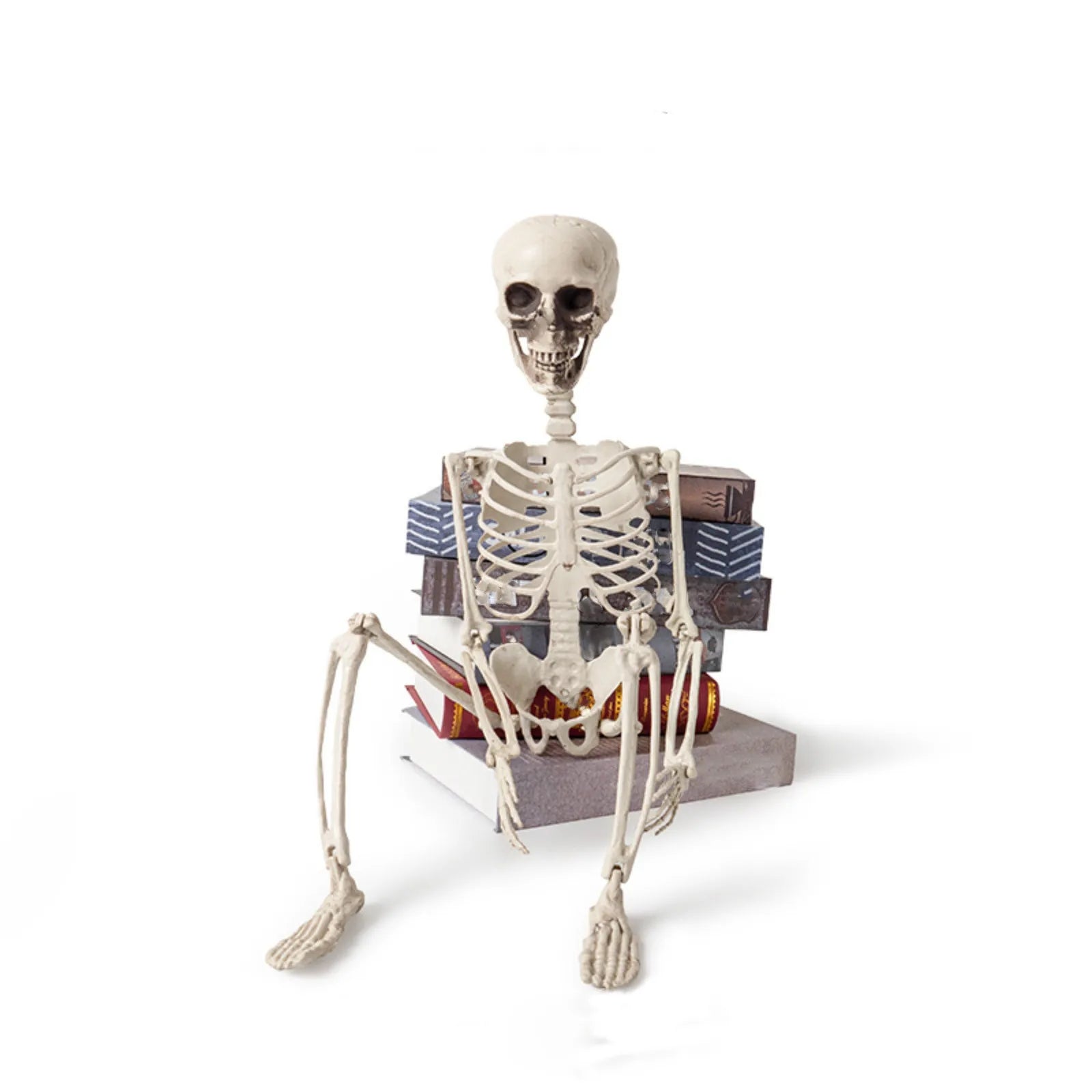 Halloween Skeleton Decoration Realistic